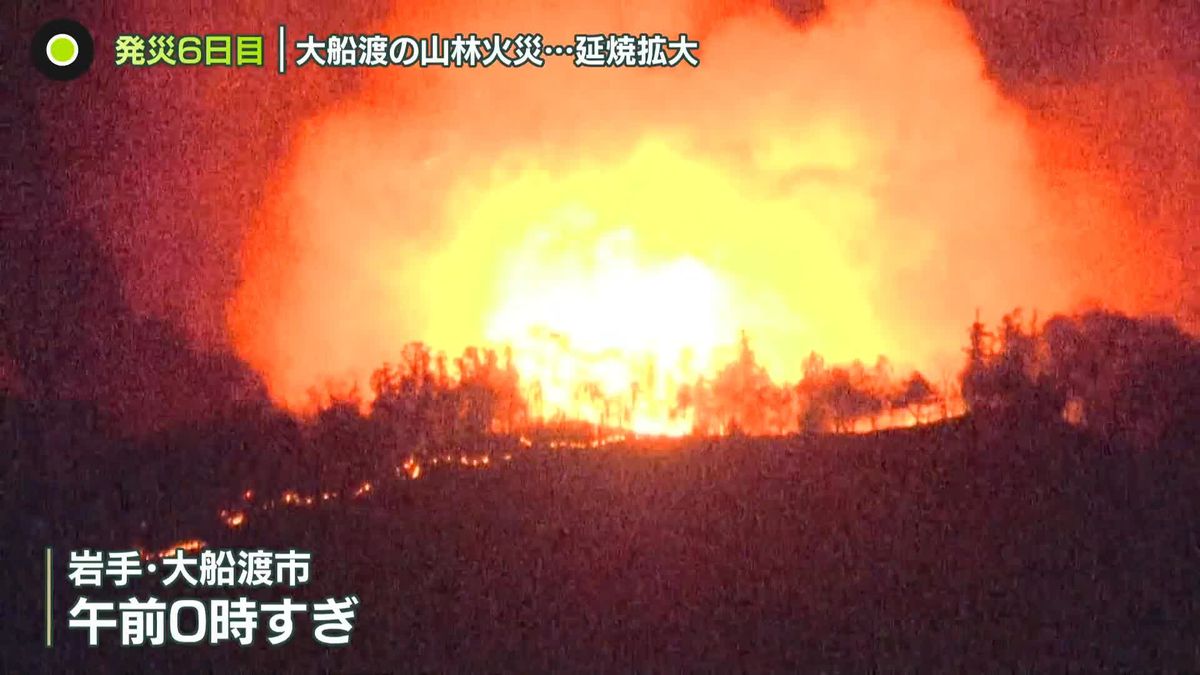 大船渡の山林火災、延焼拡大-支援の動き…佐々木朗希投手も-–-日テレnews